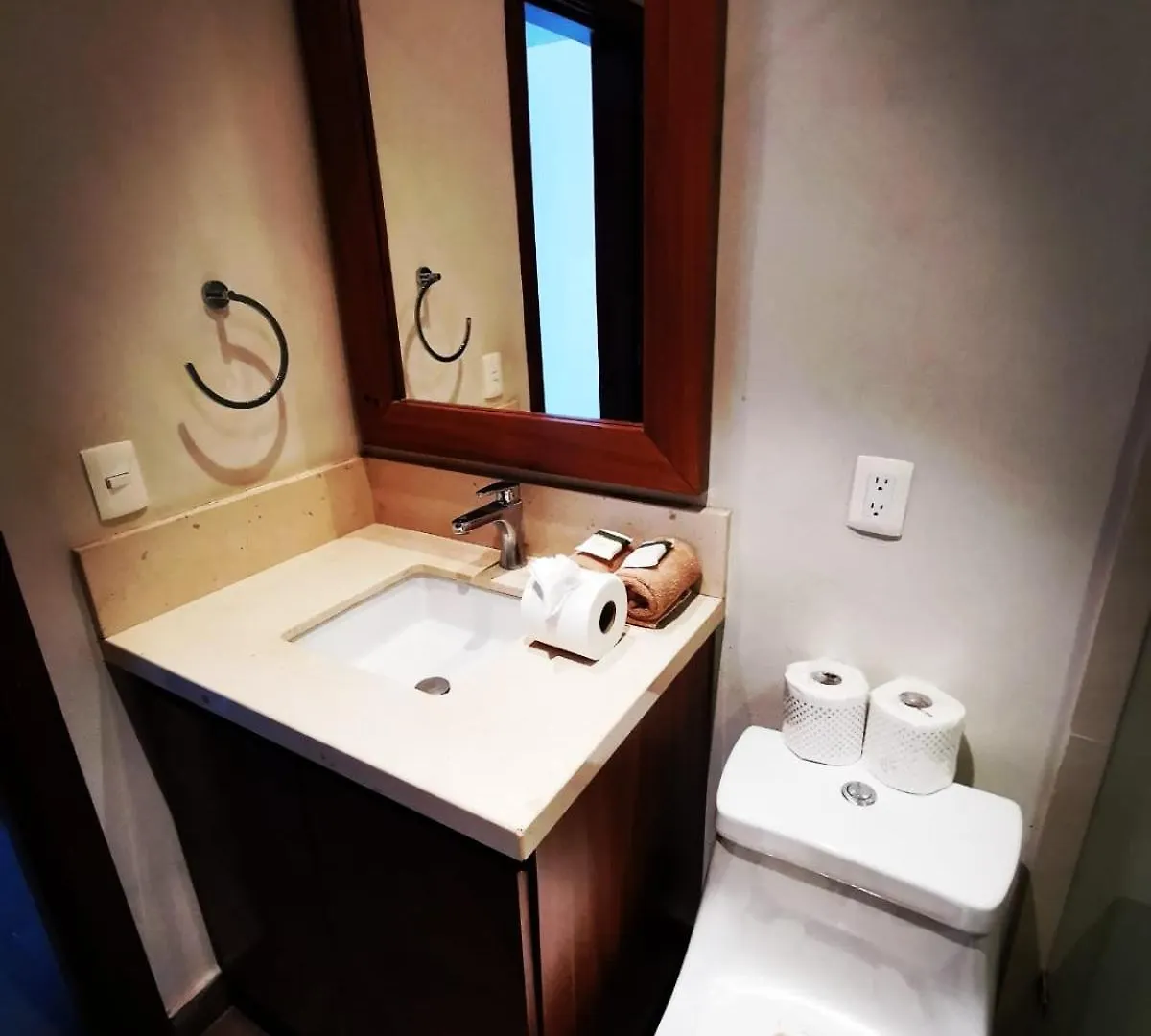 Beach Front Unit At Condominios Los Tules Puerto Vallarta