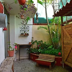Bed and breakfast My Local Vallarta, Puerto Vallarta